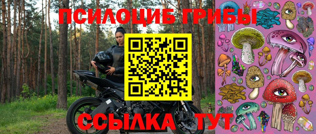 Азнакаево  купить наркотики цена  Вход с VPN  Псилоцибиновые грибы GOLDEN TEACHER 